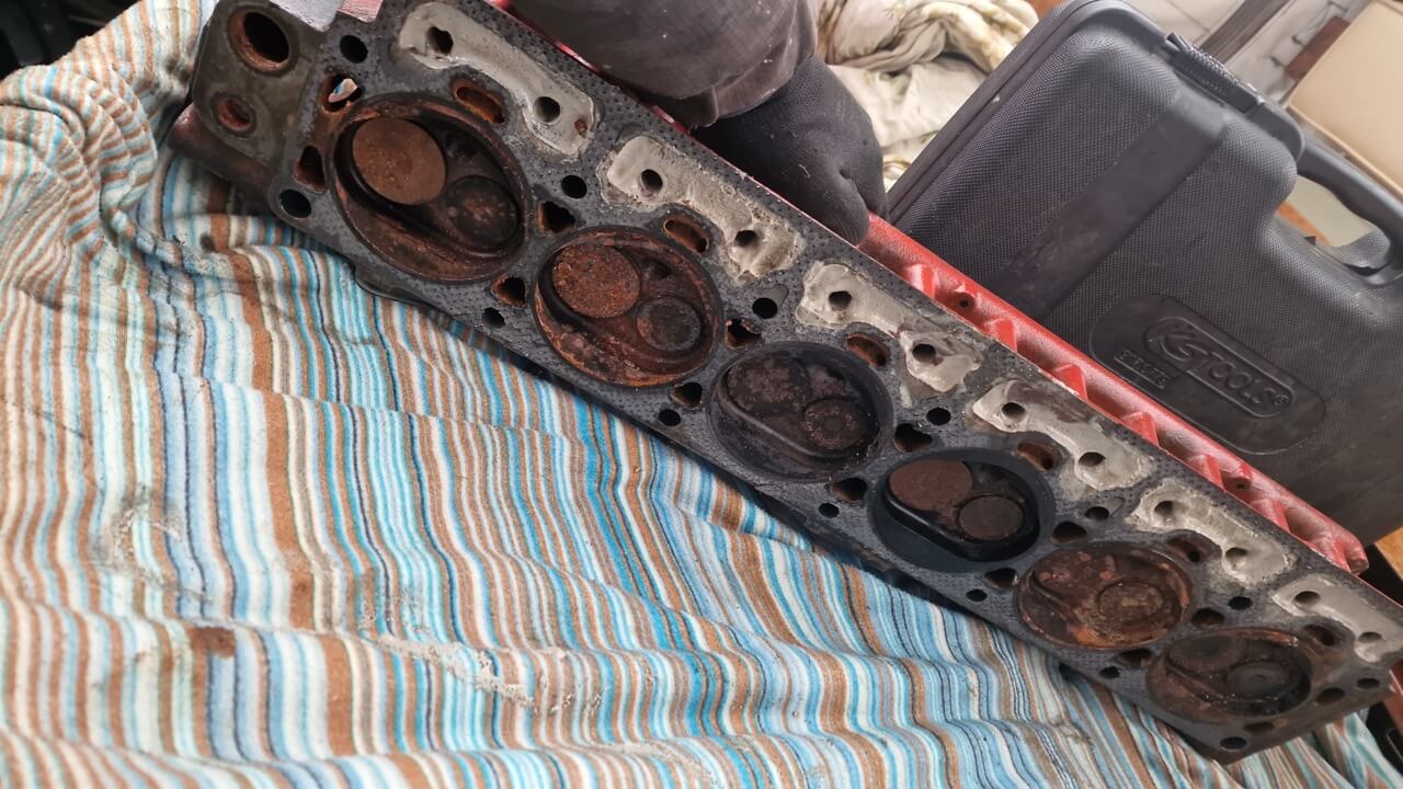 Gross IMG 20221126 WA0015